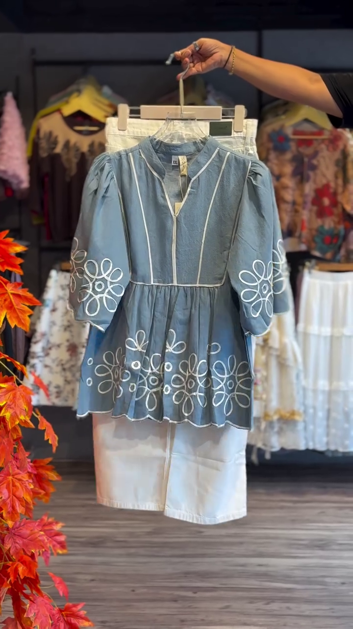 Embroidered A-Line Mini Dress